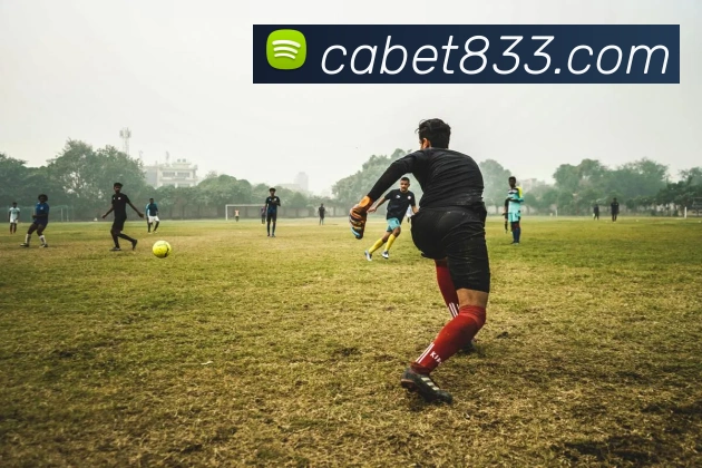 ca亚洲城APP 封面图